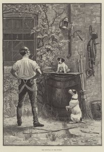 La sopravvivenza del più adatto da Stanley Berkeley